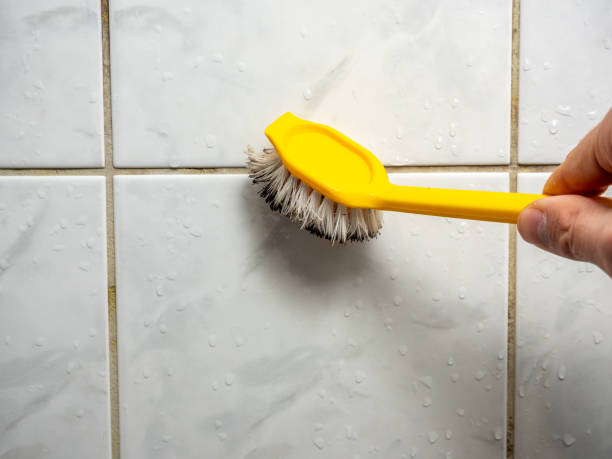 Best Local Mold Removal Service  in Madisonville, LA