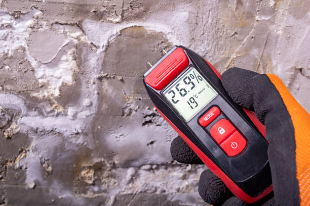 Best Commercial Mold Removal  in Madisonville, LA