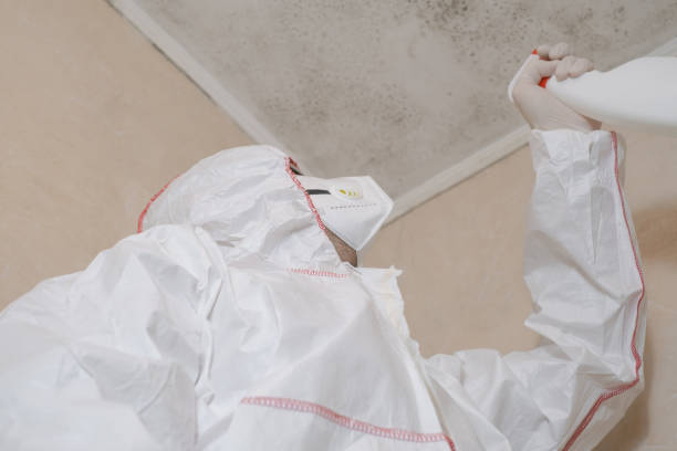 Certified Mold Removal in Madisonville, LA